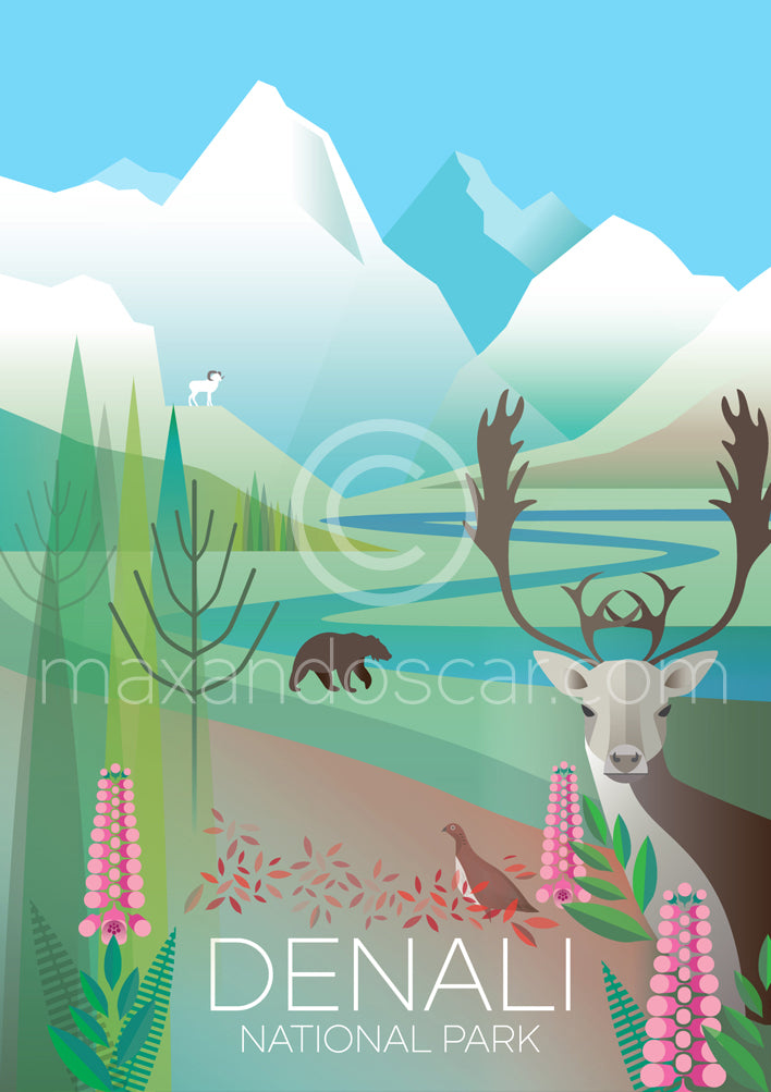 LTP - Denali National Park Postcard