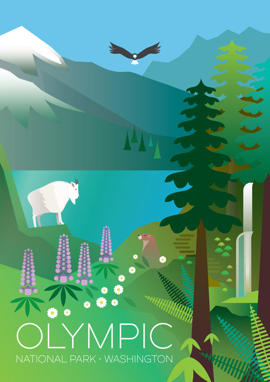 LTP - Olympic National Park Postcard