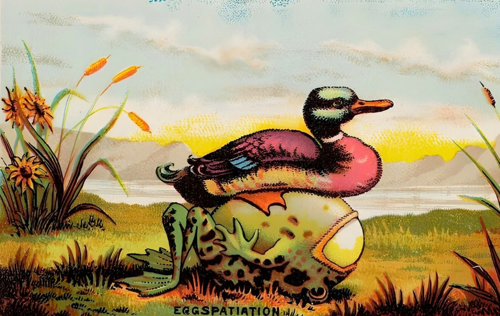 Eggsplatation Postal Card