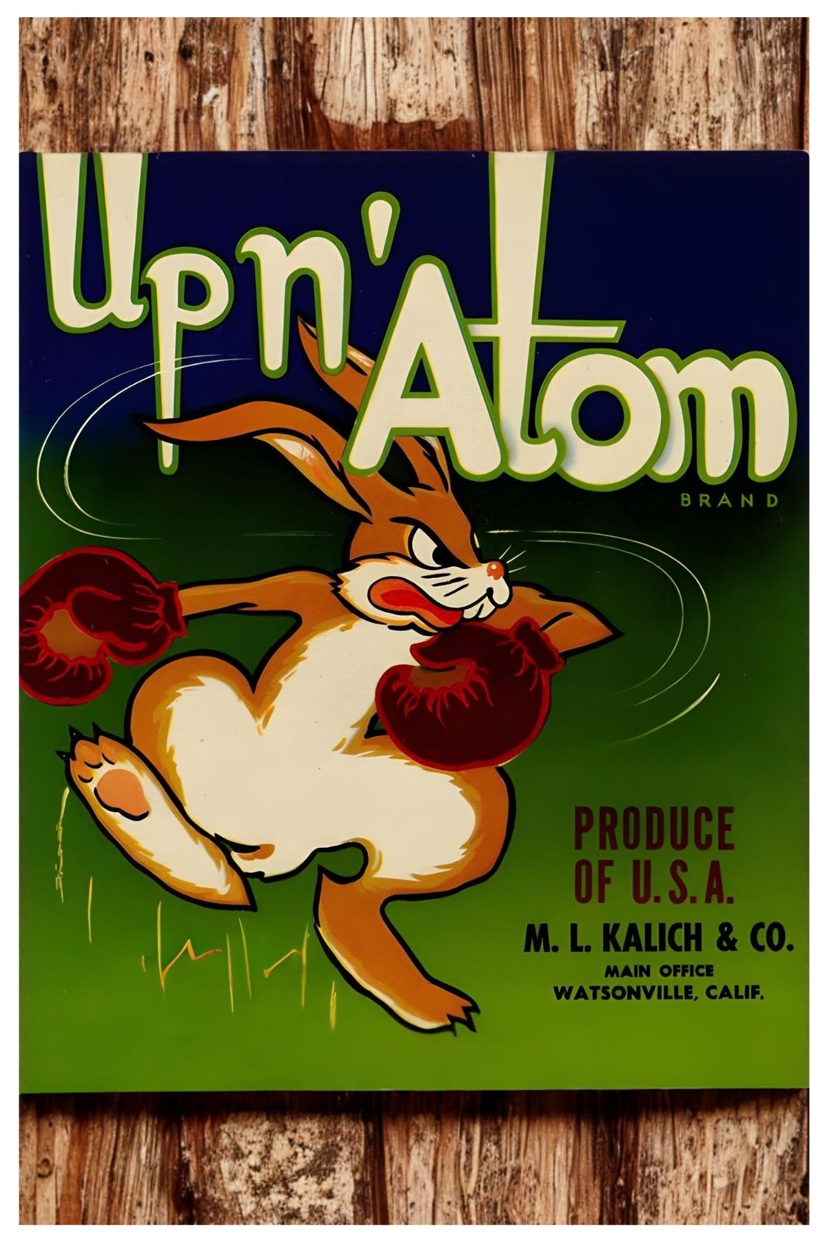 Up N' Atom Postal Card