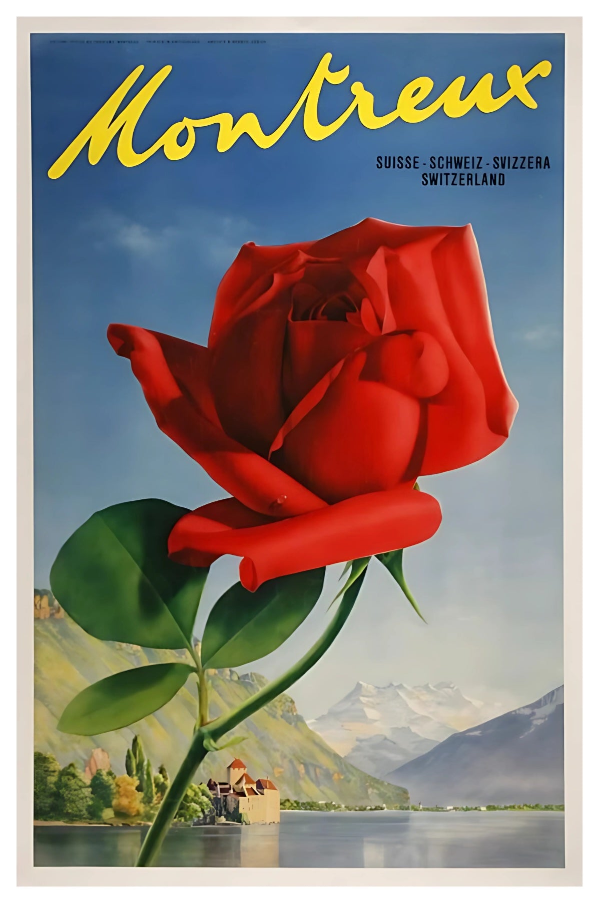 Montreux Rose Postal Card