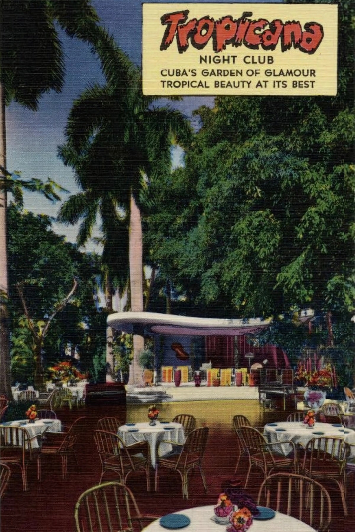 Havana Tropicana Postal Card
