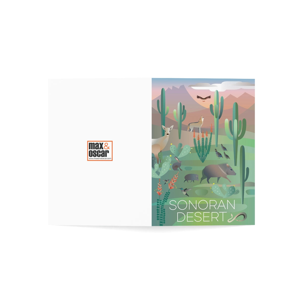 Sonoran Desert Folded Matte Notecards + Envelopes (10pcs)