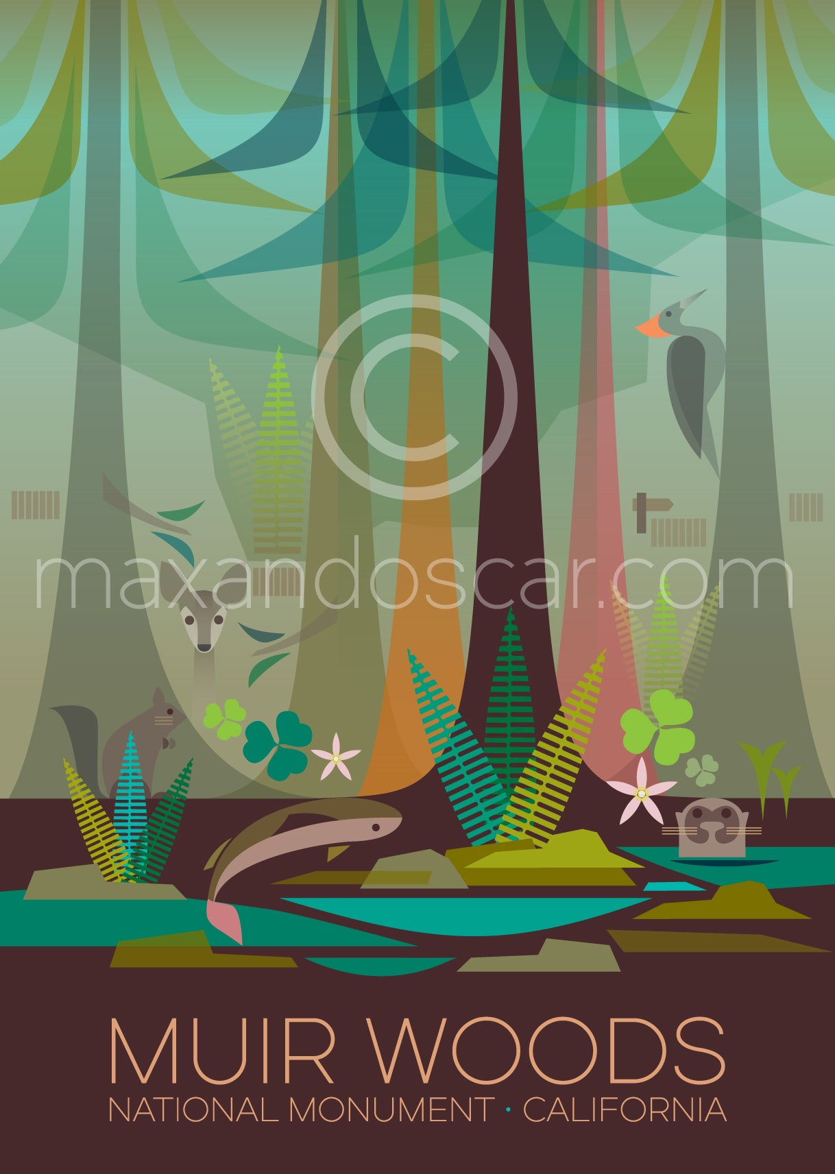 MUIR WOODS NATIONAL MONUMENT PRINT