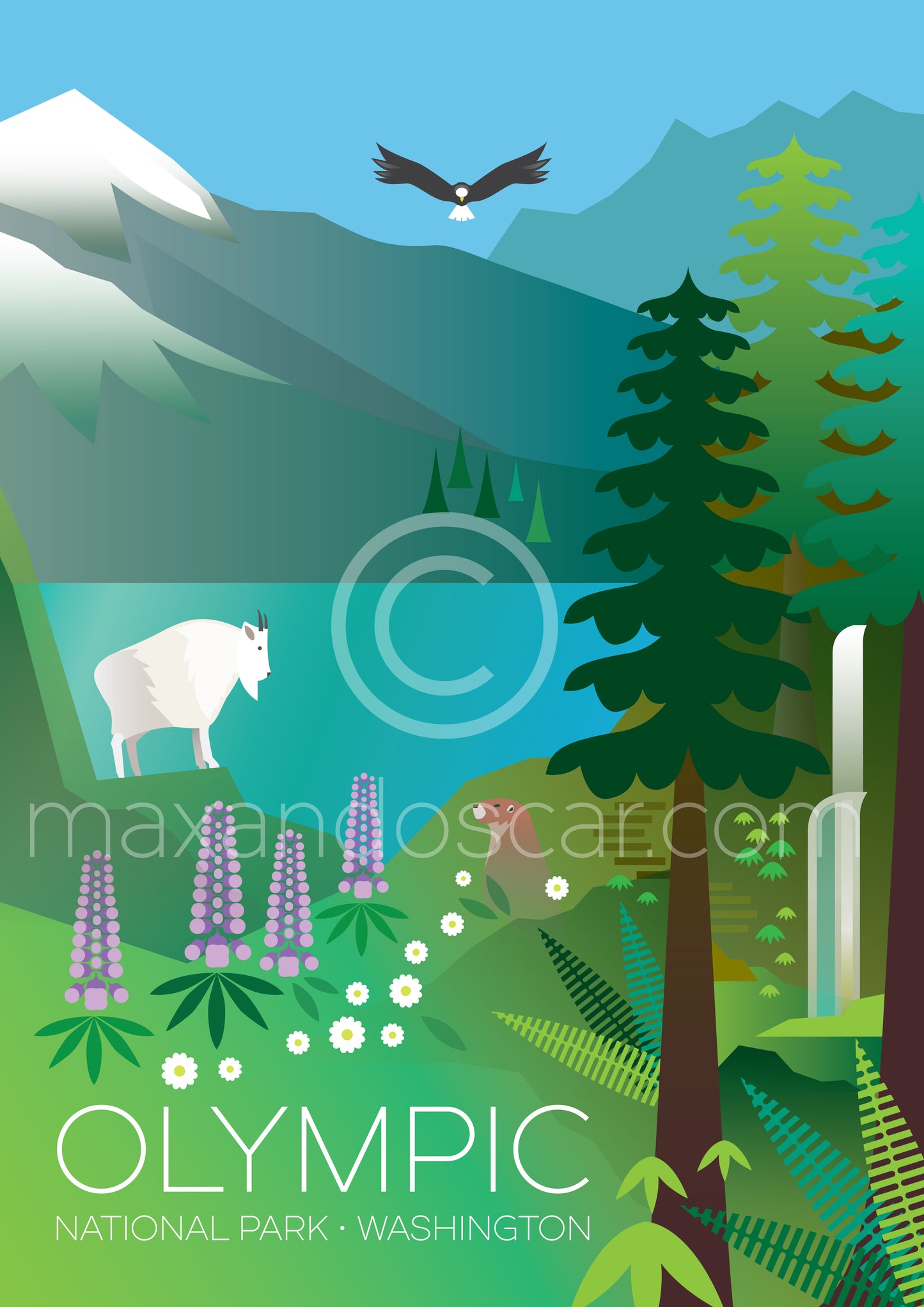 OLYMPIC NATIONAL PARK PRINT