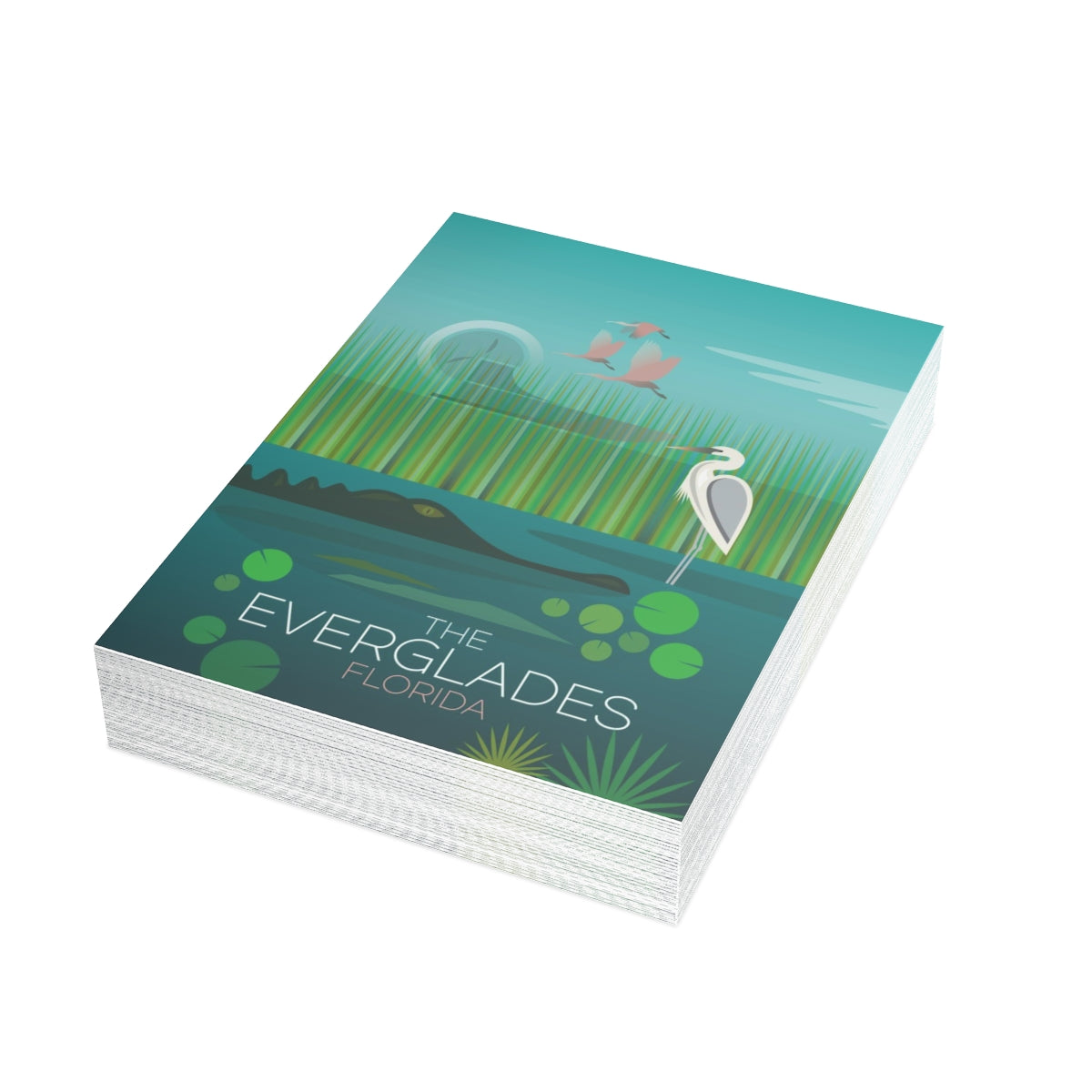Everglades National Park Folded Matte Notecards + Envelopes (10pcs)