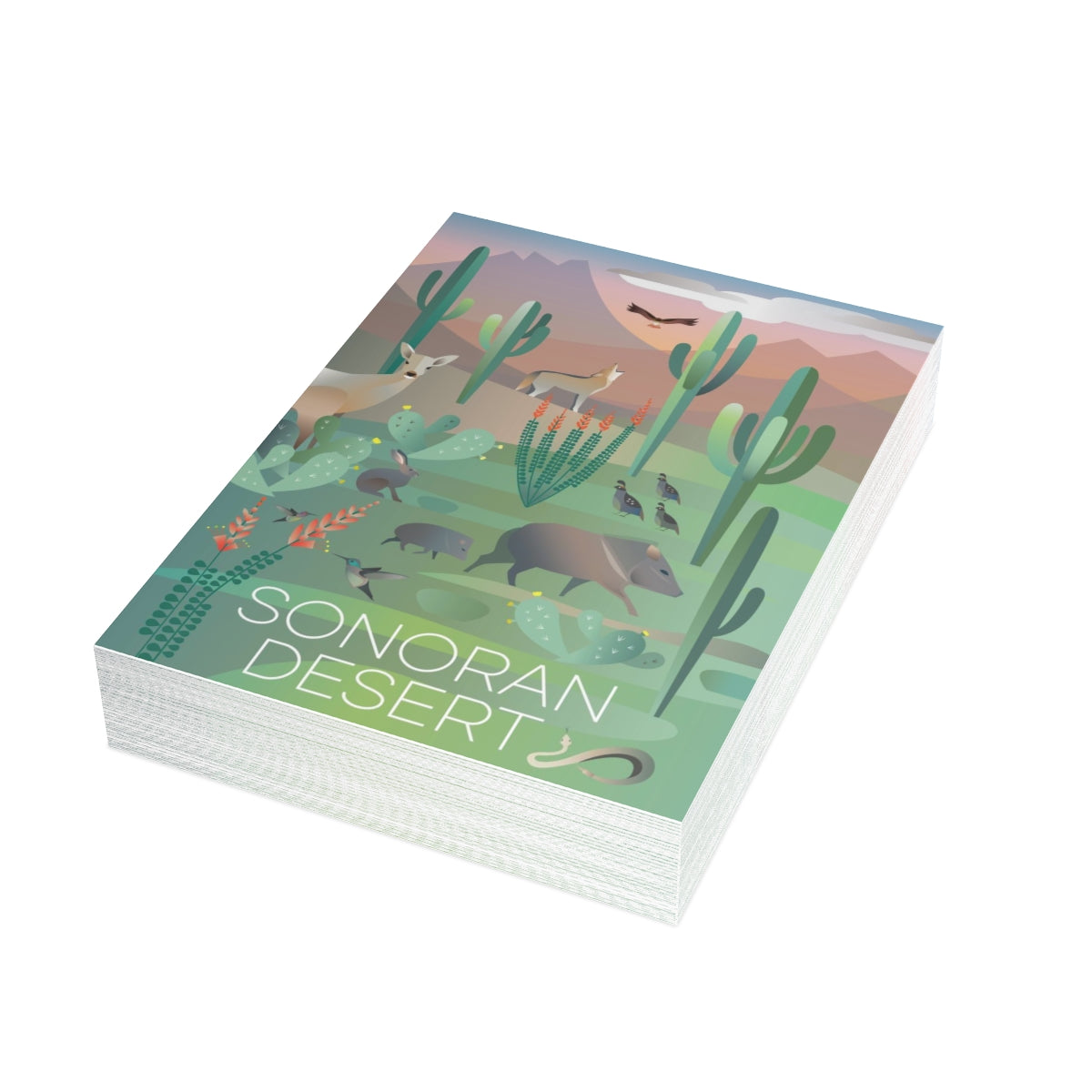 Sonoran Desert Folded Matte Notecards + Envelopes (10pcs)