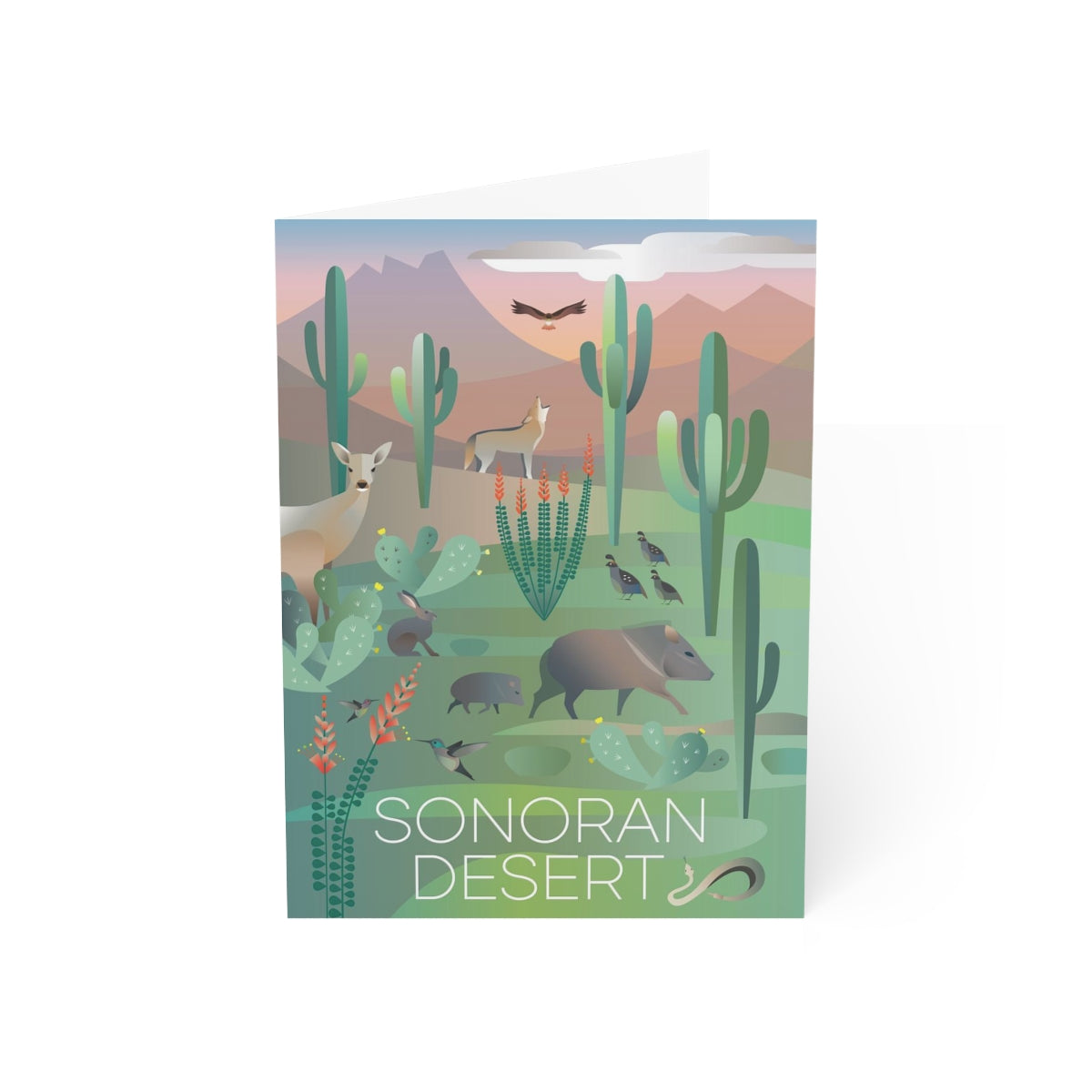 Sonoran Desert Folded Matte Notecards + Envelopes (10pcs)
