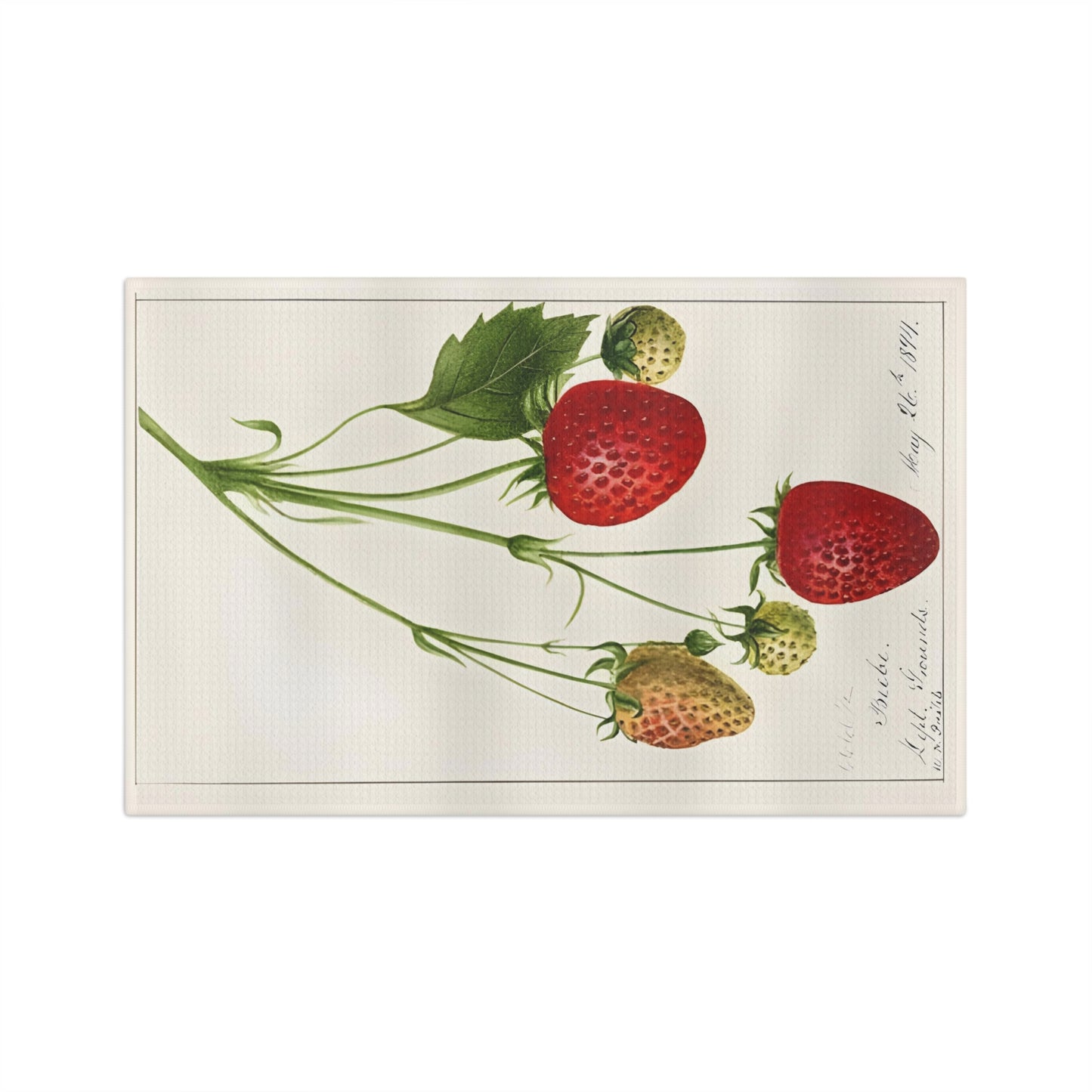 Strawberries Vintage Botanical Microfiber Tea Towel