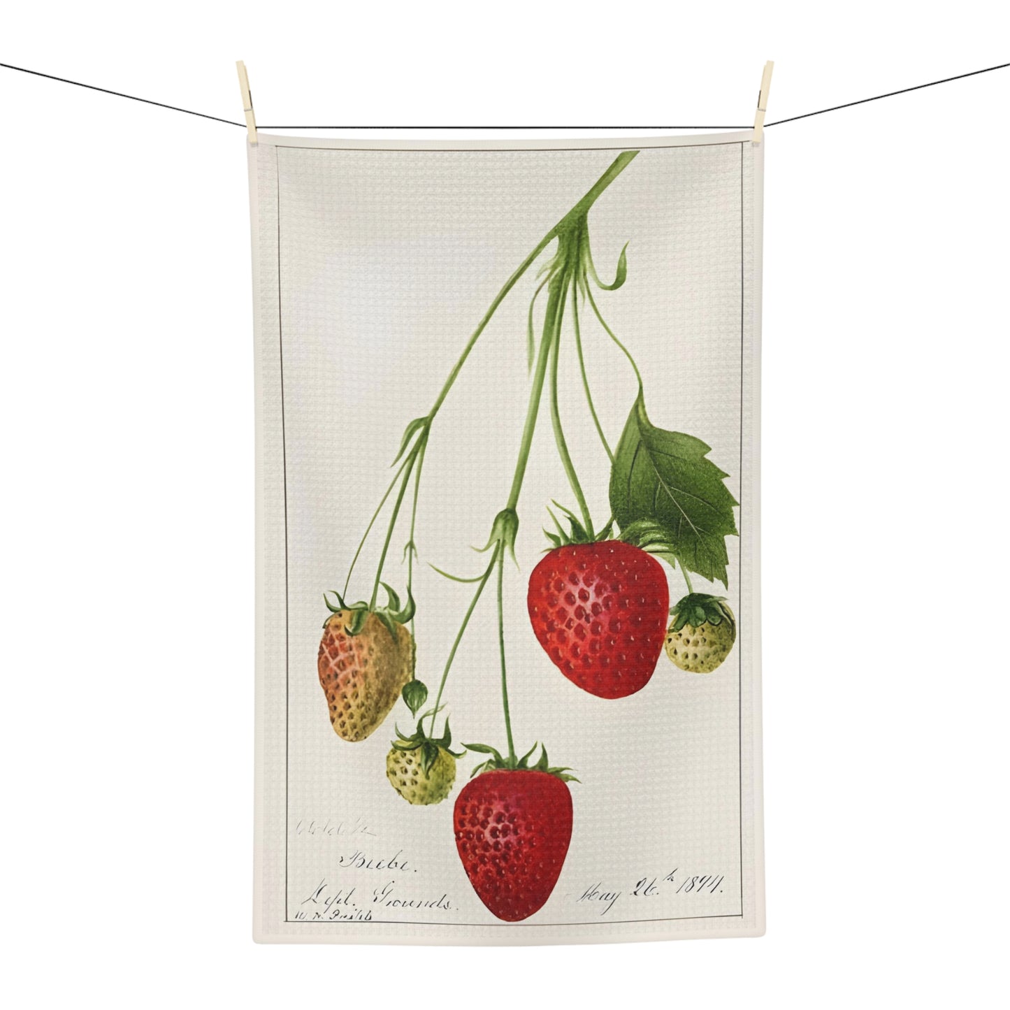 Strawberries Vintage Botanical Microfiber Tea Towel