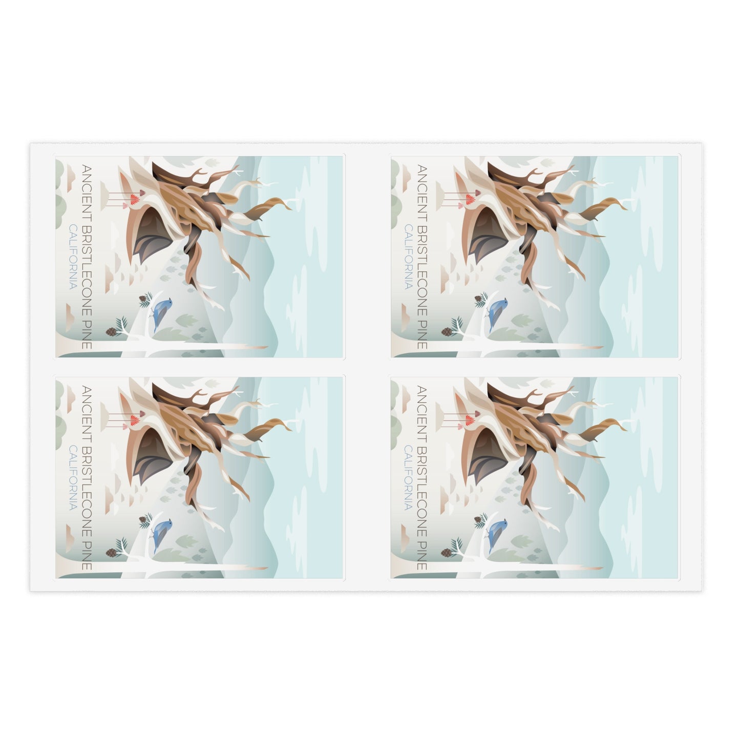 Ancient Bristlecone Sticker Sheet