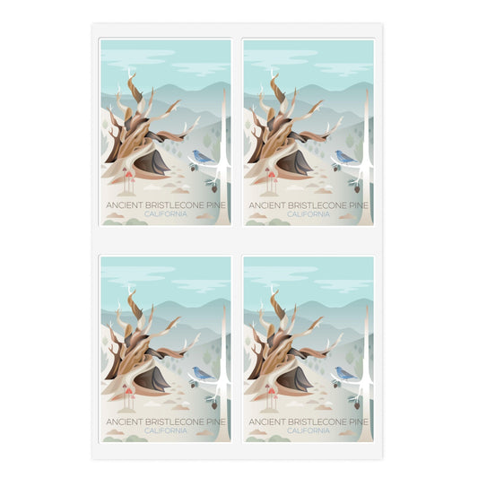 Ancient Bristlecone Sticker Sheet