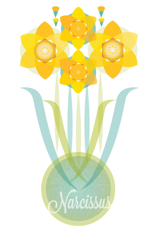 Narcissus Postcard