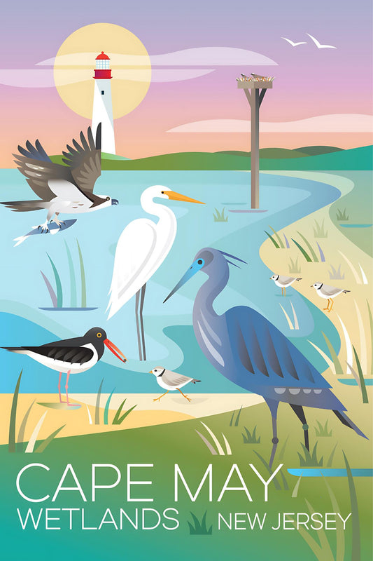 LTP - Cape May Wetlands Postcard