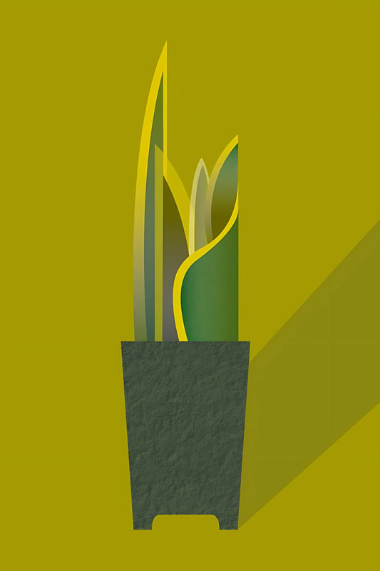 Houseplant Postcard