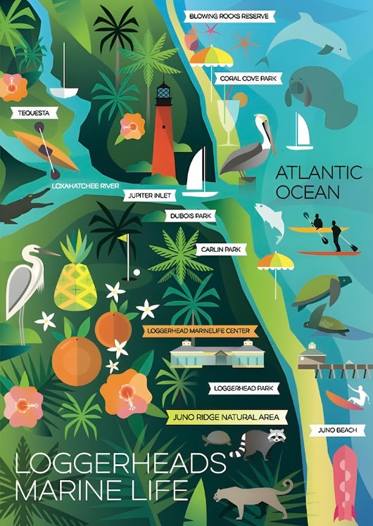 Loggerheads Marine Life Print