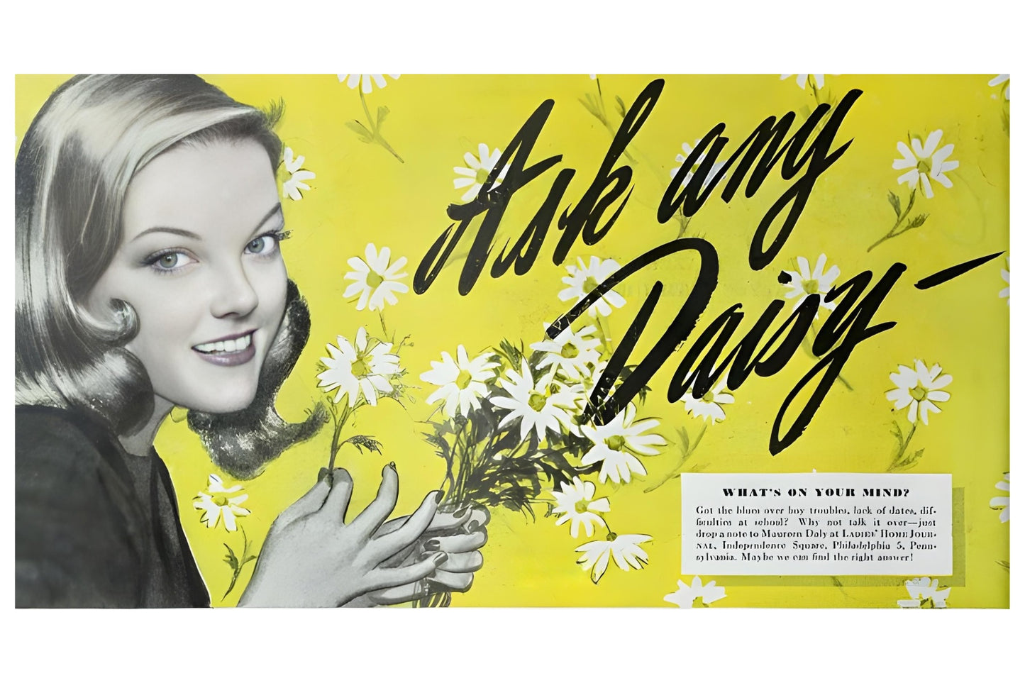 Ask Any Daisy Postal Card