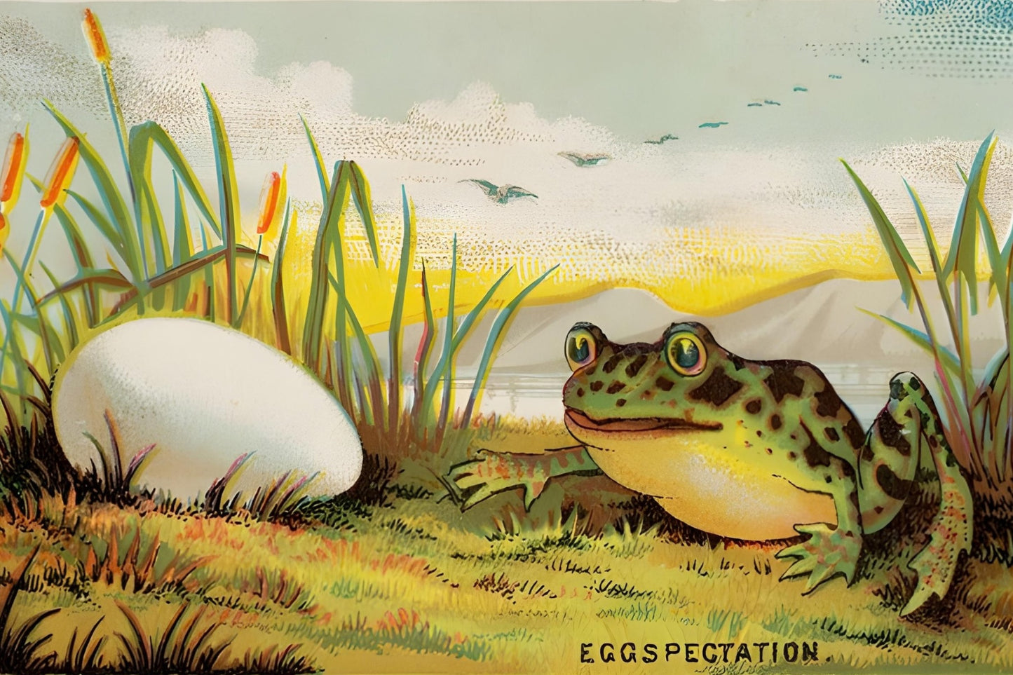 Eggsplatation 2 Postal Card