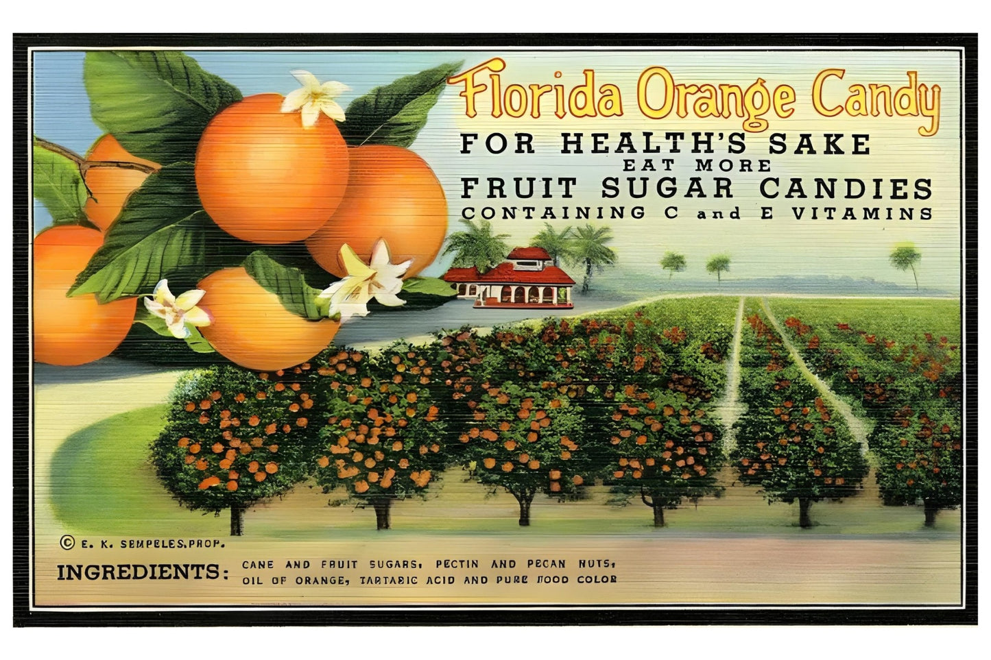 Florida Orange Candy Postal Card