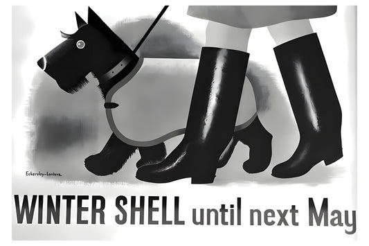 Winter Shell Postal Card