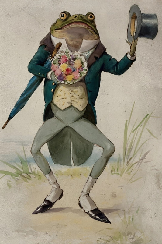 Mr.Frog Postal Card