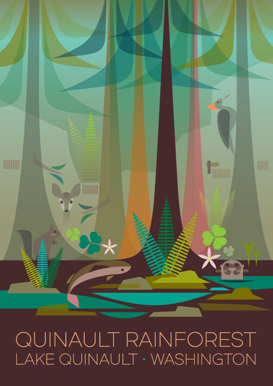 Quinault Rainforest Postcard