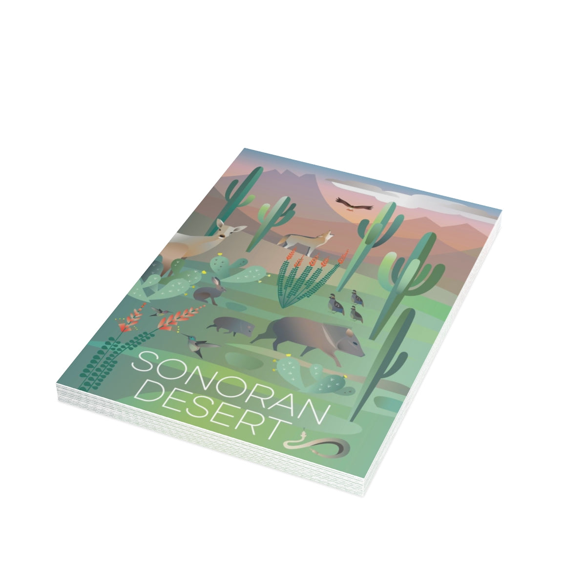 Sonoran Desert Folded Matte Notecards + Envelopes (10pcs)