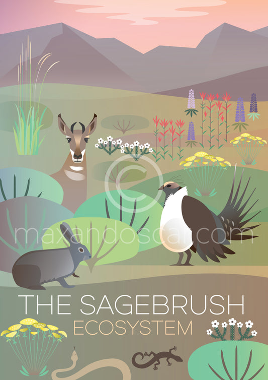 THE SAGEBRUSH ECO SYSTEM JIGSAW PUZZLE