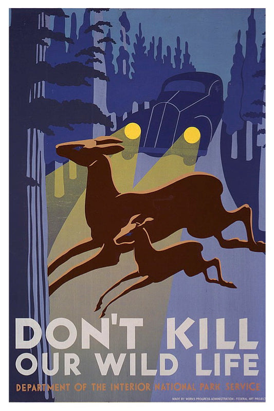 DON'T KILL OUR WILDLIFE WPA POSTAL CARD