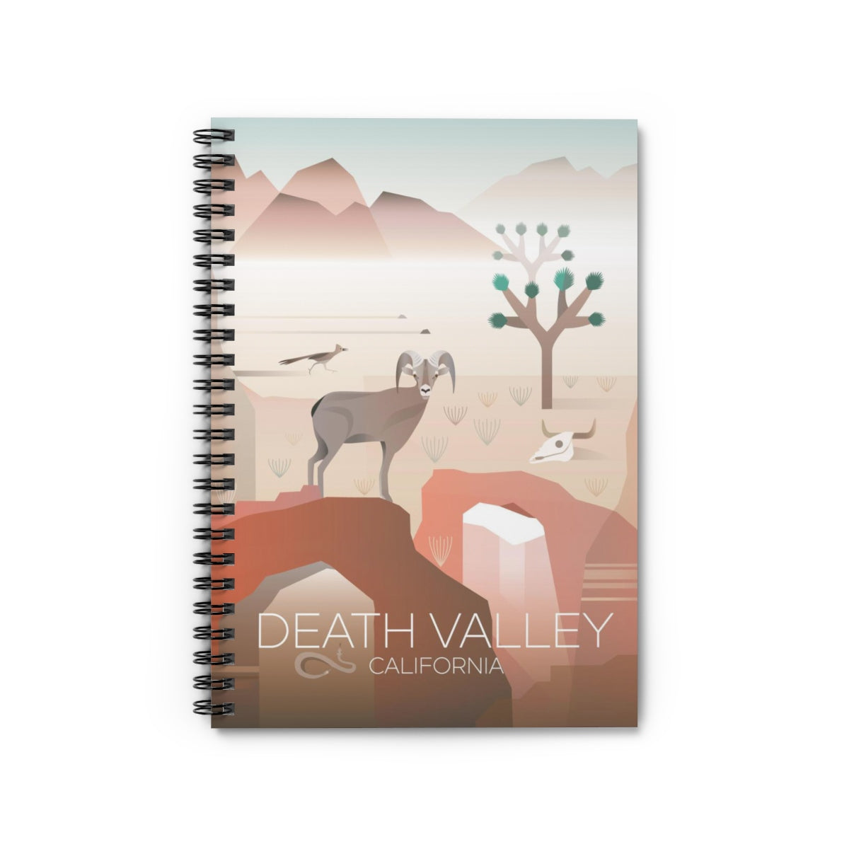 DEATH VALLEY JOURNAL