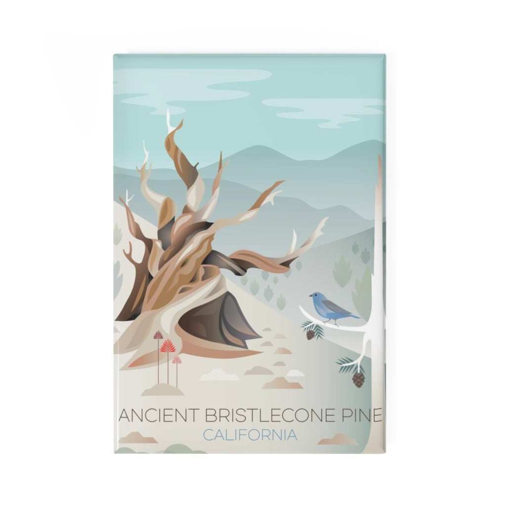 ALTER BRISTLECONE-KÜHLSCHRANKMAGNET