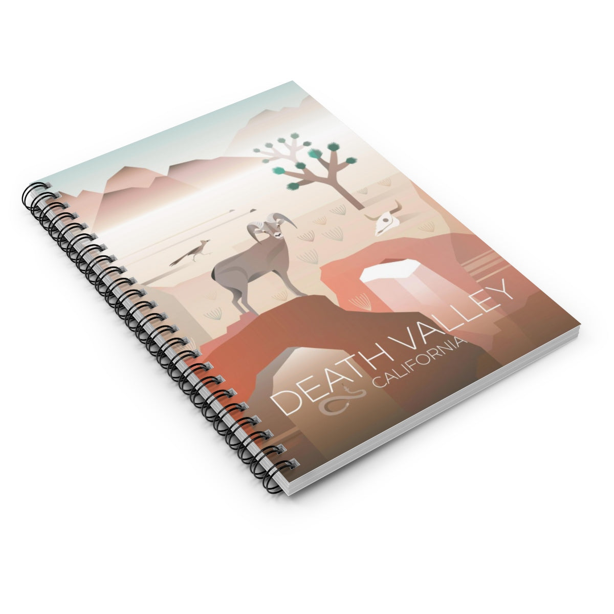 DEATH VALLEY JOURNAL