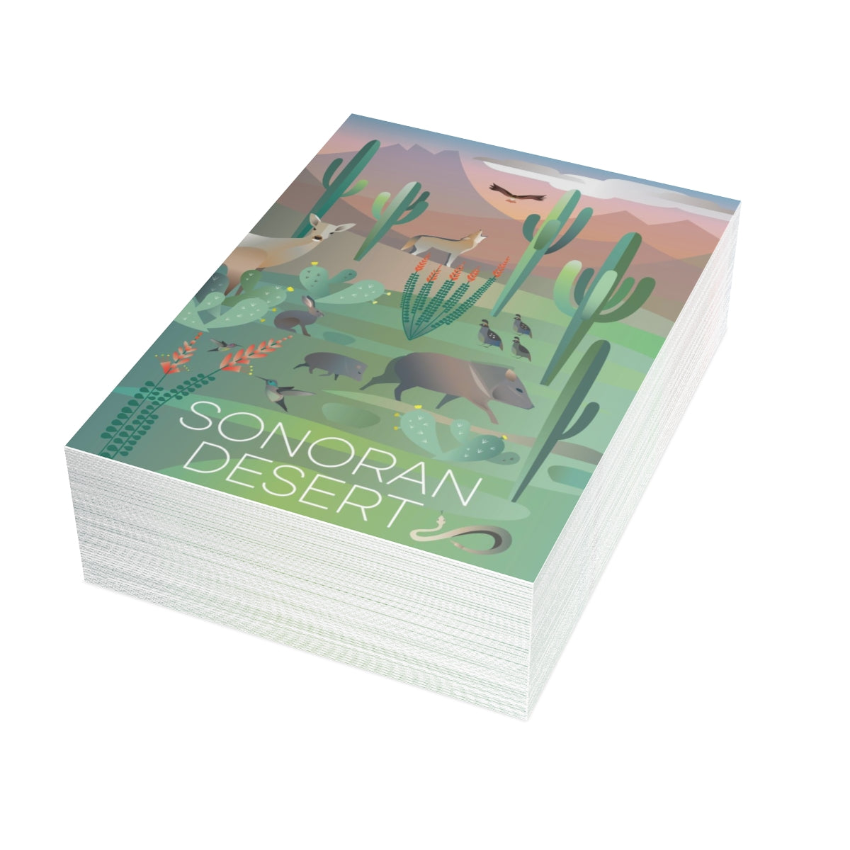 Sonoran Desert Folded Matte Notecards + Envelopes (10pcs)