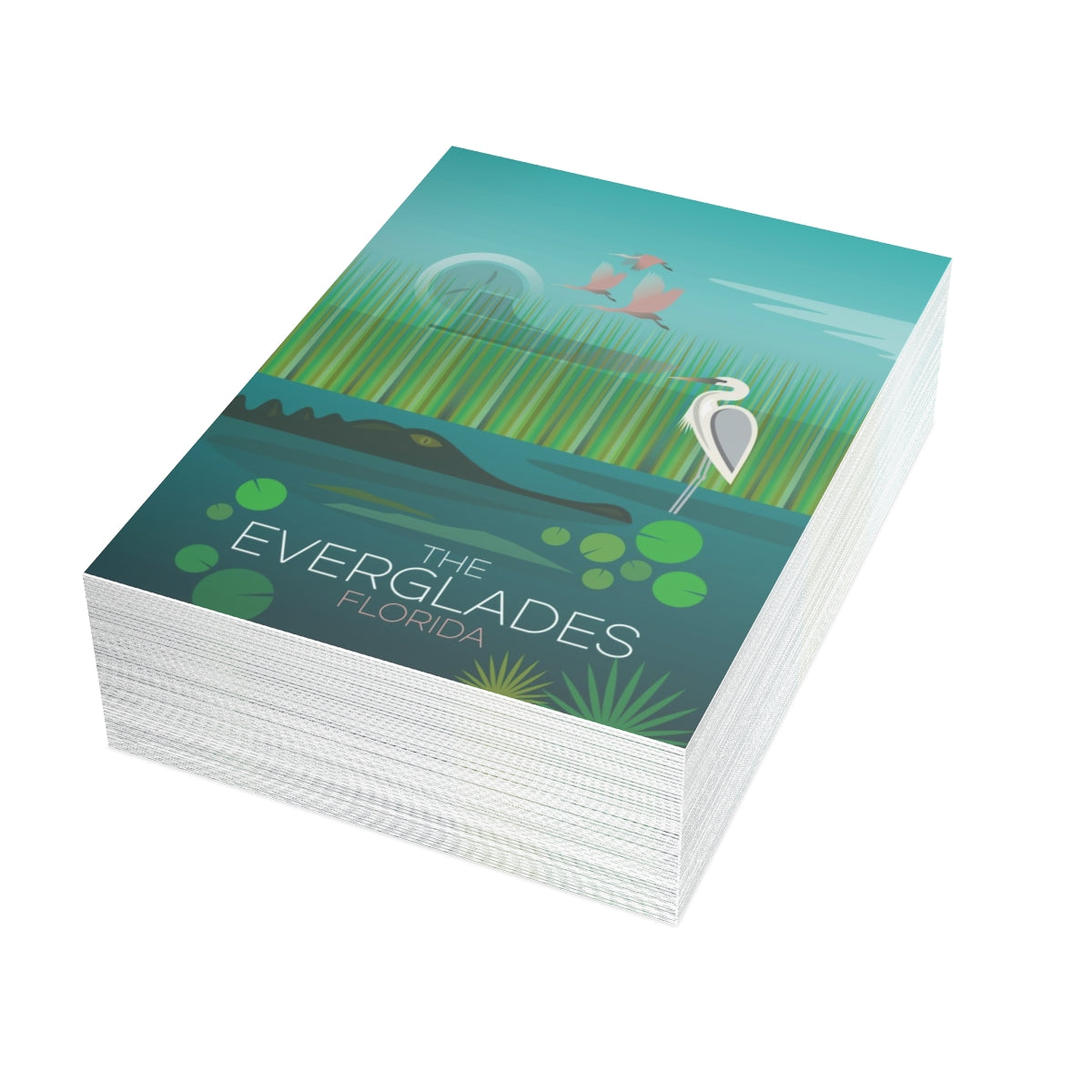 Everglades Nationalpark gefaltete matte Notizkarten + Umschläge (10 Stück)